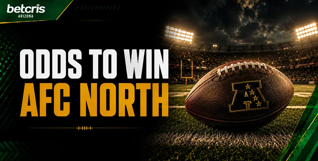 odds-to-win-2026-afc-north-betting