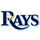 Tampa Bay Rays Logo