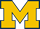 Michigan odds to win