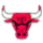 Chicago Bulls  Logo