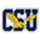 Coppin State  Logo