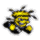 Wichita State  Logo