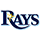 Tampa Bay Rays Logo